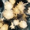 chrysanthemum crystal sculpture juhuashi “Starry Nights," Detail