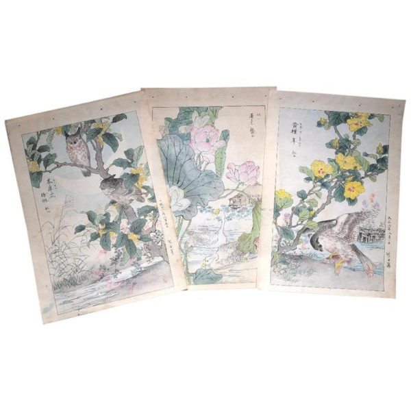 Bairei Owls & Flowers Paintings
