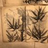 bamboo and grasses paintings album