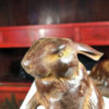 Pair cast bronze rabbits