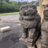 stone komaimu guardian lion-dog pair