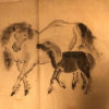 Hand painted horses album