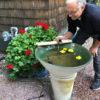 Bowl Set "+Water Spigot & Pump" One-of-a-kind Water Feature
