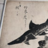 Sumi Ink Nautical Fish Drawings