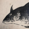 Sumi Ink Nautical Fish Drawings