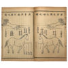Antique "Horse Veterinary" Complete Woodblock 5 Book Set