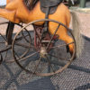 Antique American Horse Tricyle