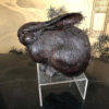 Japanese Finest Antique Big Bronze Trio Rabbits Usagi