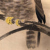 Japan Horned Owl Signed Silk Scroll