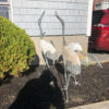 Japanese Three Hand Cast Bronze "White Feather" Cranes