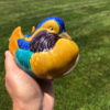 Mandarin Duck Pair, Hand Painted Brilliant Colors