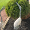Japanese Hand Cast Pair Old Bronze "White Feather" Cranes