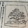 Japan Antique Tea Guide Ceremony Woodblock Prints Book 1850