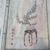 Japanese Antique Flower Ikebana Wood Block Prints