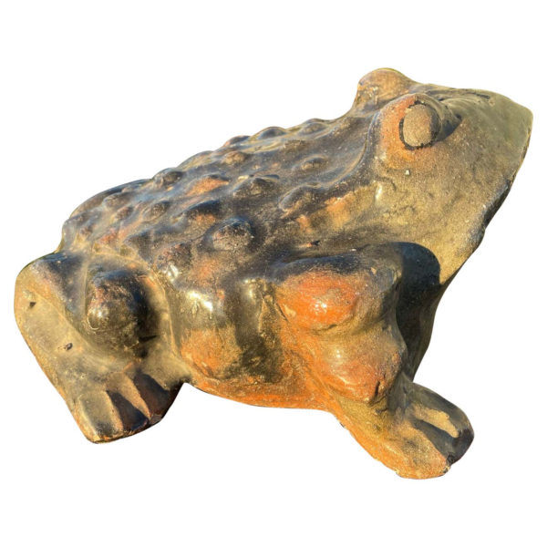 Japanese Big Old Garden Bull Frog
