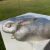 Japanese Silver Bronze Pink Eyes Rabbit Mint, Boxed, and Signed
