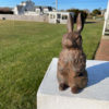 Old Chocolate Brown Garden Rabbit With Pricked Ears