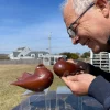 Japanese Rare Pair Bronze Adorable Doves Master Works Sotaro