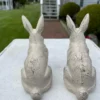 Japanese Cute Pair Flower Pot Bunny Rabbits