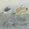 Japanese Antique Mandarin Wood Ducks Hand Painted 2 Panel Screen