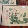 Japanese Old Woodblock Flower Prints Tanigami Konan Immediately Frameable