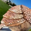 Whimsical Big Rose Bird Sculpture Hand Painted by Eva Fritz-Lindner