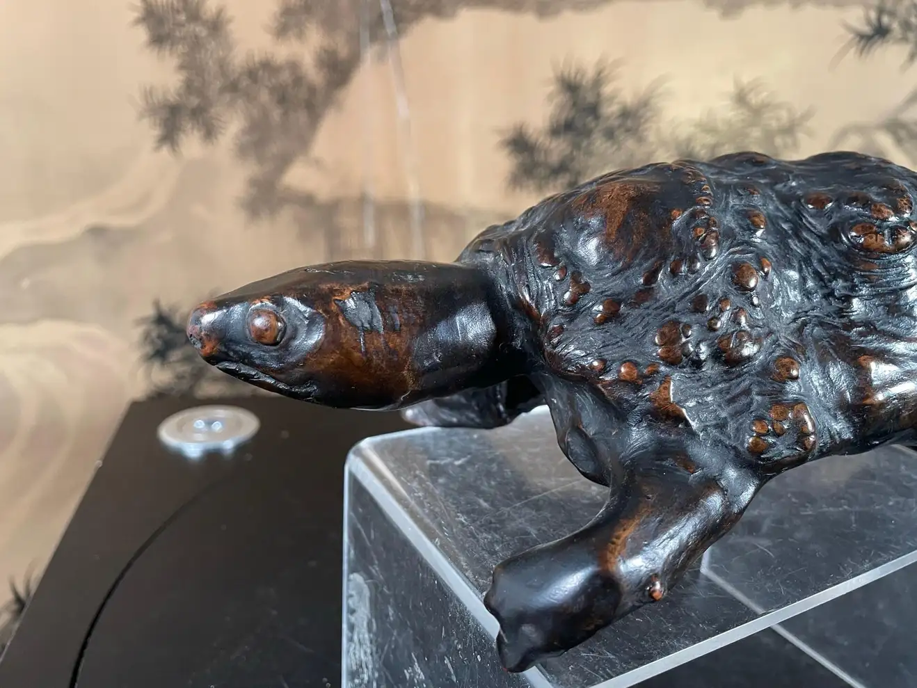 Japan Antique Unique 19th Century Natural Burl Wood Turtle
