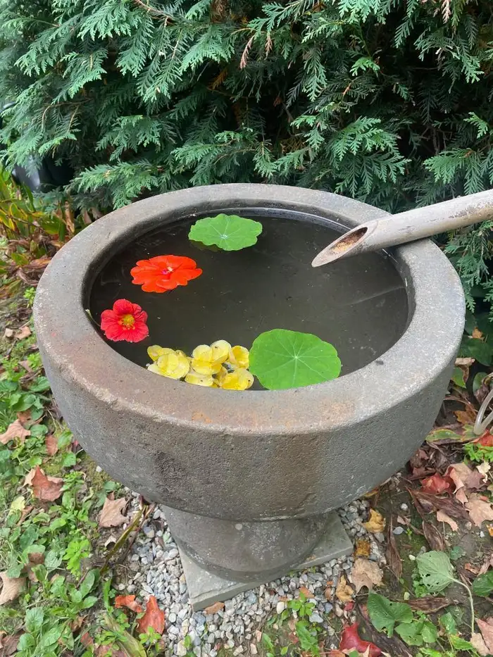 Japanese Beautiful Antique Stone Water Basin And Planter Tsukubai, Unique